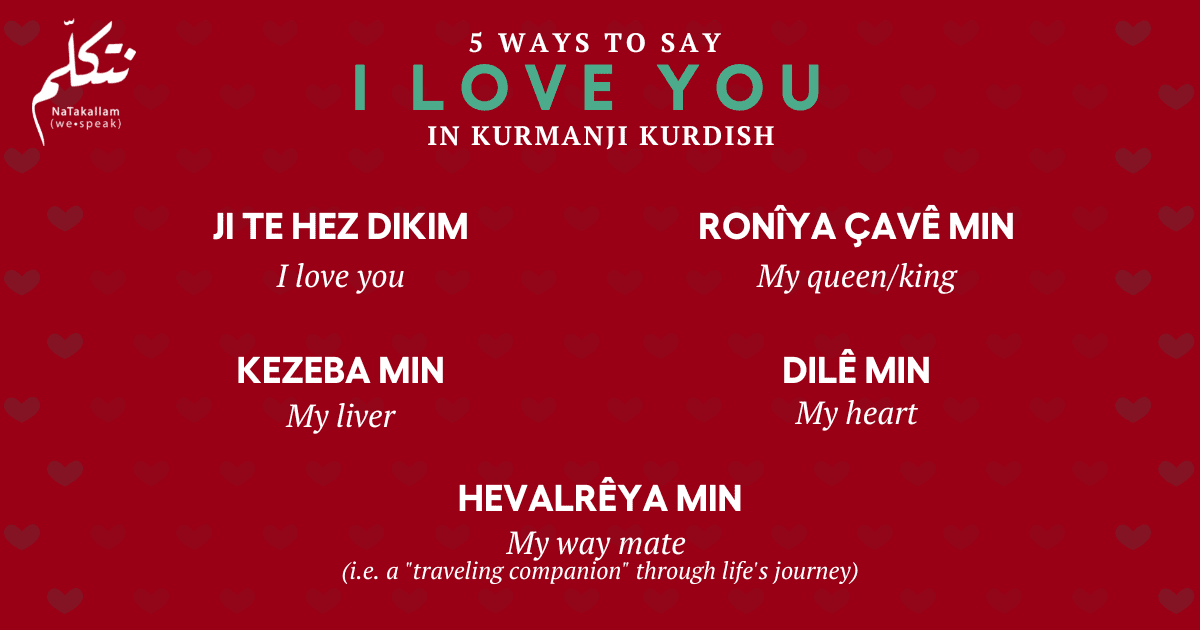 5 Ways to Say “I Love You” in Kurmanji Kurdish NaTakallam